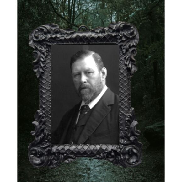 Bram Stoker Ornament Framed Portrait Dracula Novelist Horror Writer - Picture 1 of 1